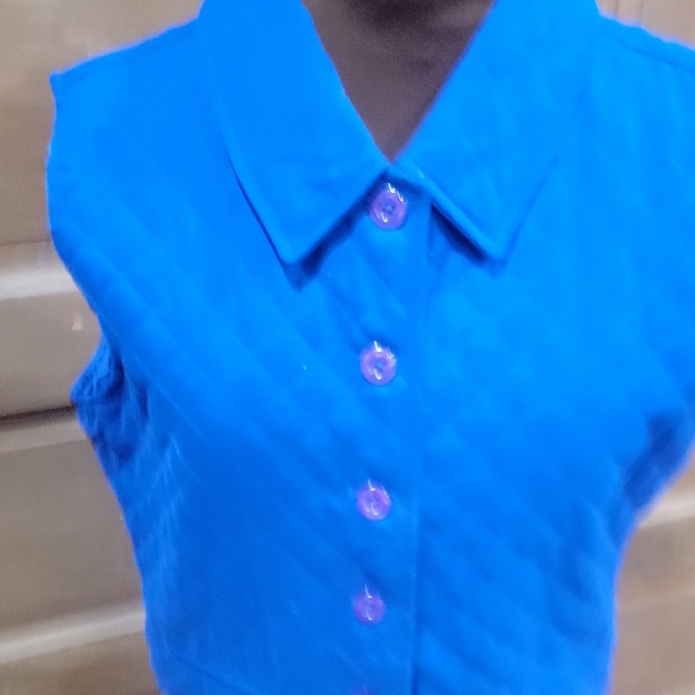Electric Blue Quilted Vest View 3